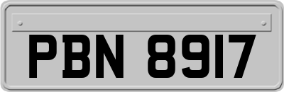 PBN8917