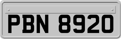 PBN8920