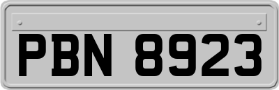 PBN8923