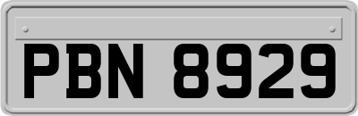 PBN8929