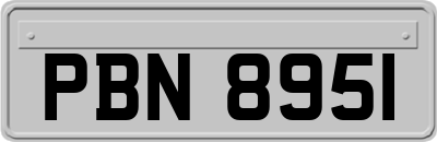 PBN8951