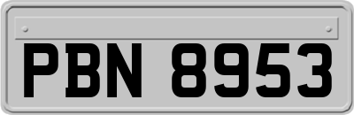 PBN8953