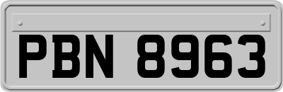 PBN8963