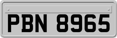 PBN8965