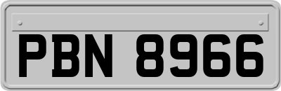 PBN8966