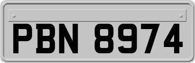 PBN8974