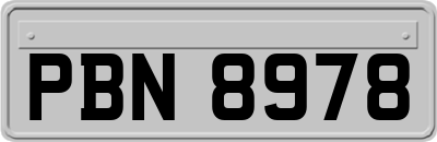 PBN8978