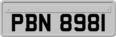 PBN8981