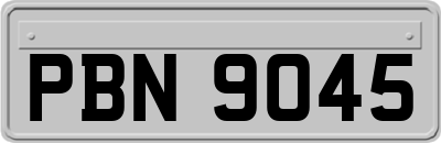 PBN9045