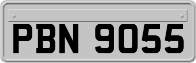 PBN9055