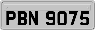 PBN9075