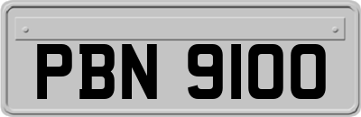 PBN9100