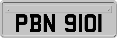 PBN9101