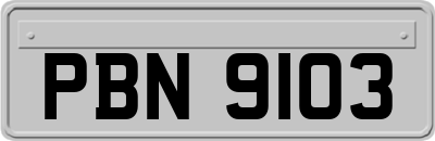 PBN9103