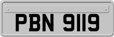 PBN9119