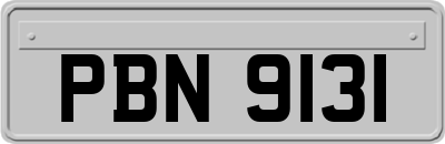 PBN9131