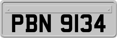 PBN9134