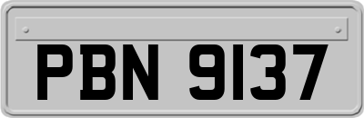 PBN9137