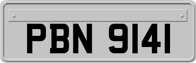 PBN9141