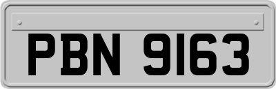 PBN9163