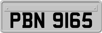 PBN9165