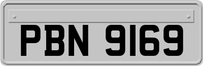 PBN9169