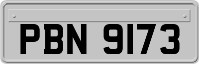 PBN9173