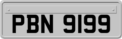 PBN9199