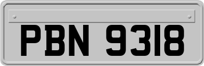 PBN9318