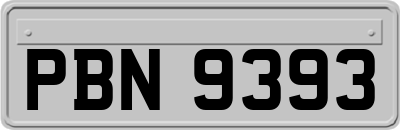 PBN9393