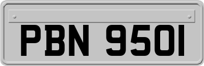 PBN9501