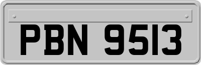 PBN9513