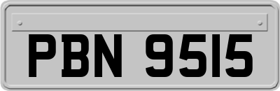 PBN9515