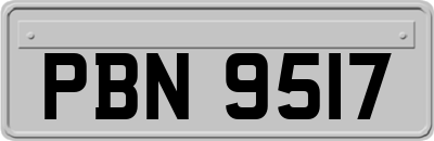 PBN9517