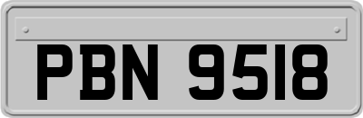 PBN9518