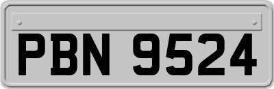 PBN9524