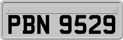 PBN9529