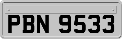 PBN9533