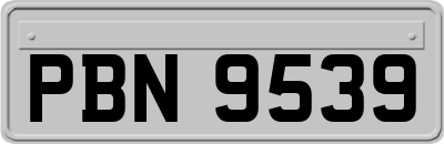 PBN9539