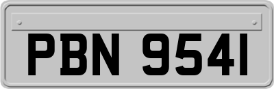 PBN9541