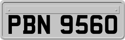 PBN9560