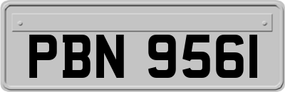 PBN9561