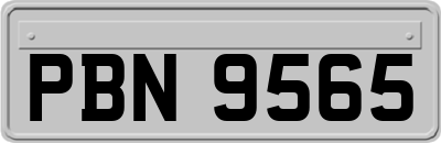 PBN9565