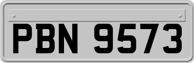 PBN9573