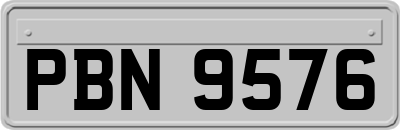 PBN9576