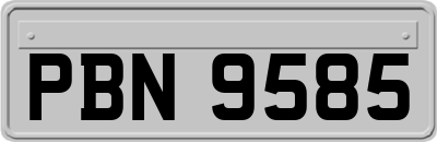 PBN9585