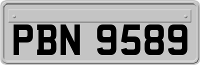 PBN9589