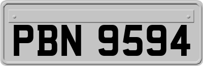 PBN9594