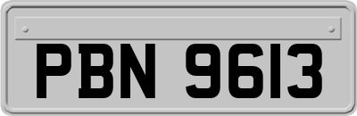 PBN9613