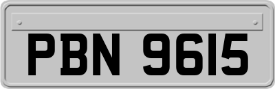 PBN9615